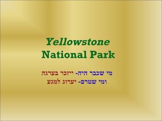 Yellowstone National Park מי שכבר היה -  ייזכר בערגה ומי שטרם -  יערוג למגע 