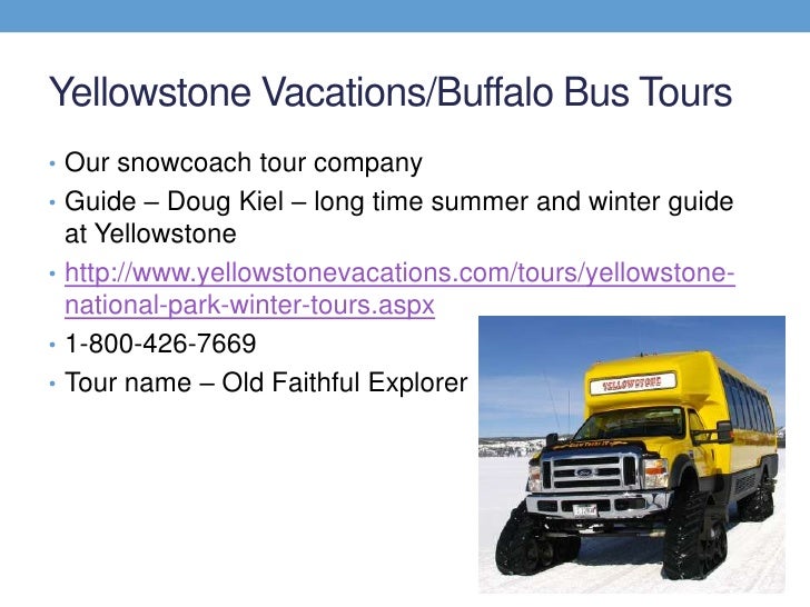 Yellowstone Buffalo Bus Tour Yellowstone Buffalo Bus Tour