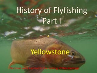 History of Flyfishing Part I Yellowstone No trout were harmed in the making of this montage 