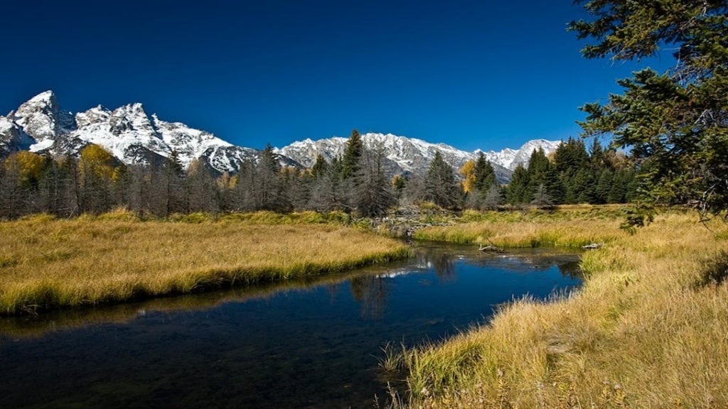 Yellowston National Park usa