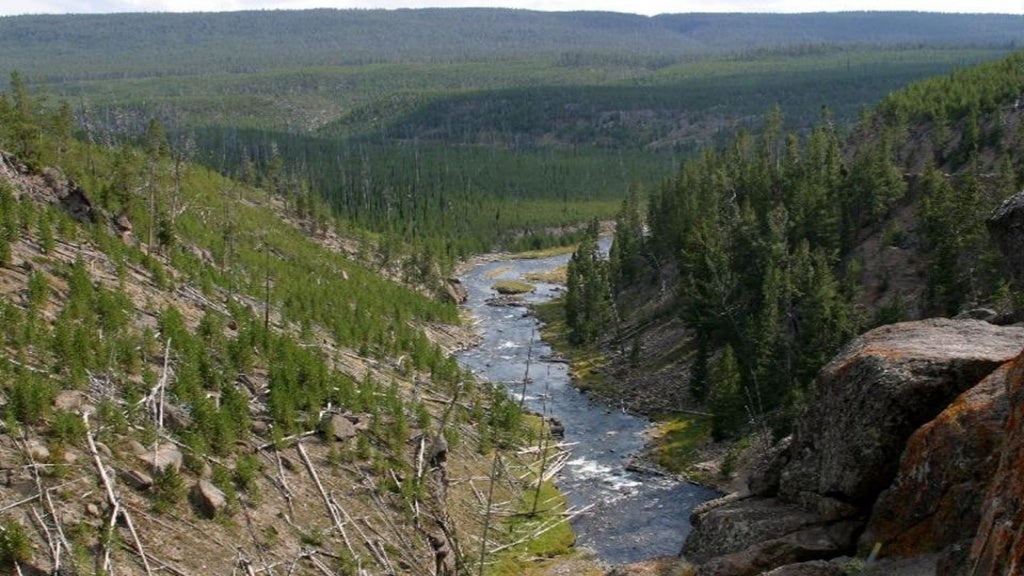 Yellowston National Park usa