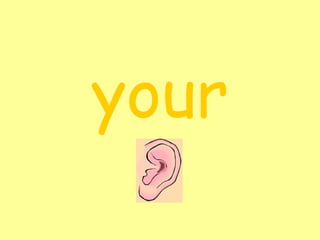 your 