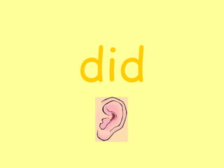 did 