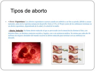 Tipos de aborto
   • Aborto Espontáneo: Los abortos espontáneos ocurren cuando un embrión o un feto se pierde, debido a causas
    naturales, antes de la vigésima semana de desarrollo. Entre el 10 y el 50 por ciento de los embarazos terminan en
    un aborto espontáneo, dependiendo de la edad y la salud de la madre.

    .Aborto Inducido: Se llama aborto inducido al que es provocado con la intención de eliminar el feto, con
    distintos fines, en distintos contextos sociales y legales, con o sin asistencia médica. Se estima que cada año 46
    millones de mujeres alrededor del mundo recurren al aborto inducido para terminar con un embarazo no
    deseado.
 