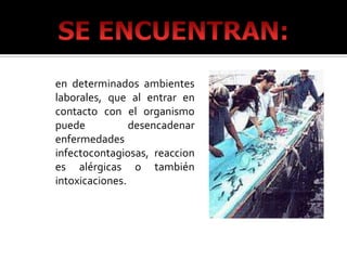 RIESGOS BIOLOGICOS


en determinados ambientes
laborales, que al entrar en
contacto con el organismo
puede           desencadenar
enfermedades
infectocontagiosas, reaccion
es alérgicas o también
intoxicaciones.
 