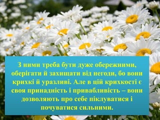 З ними треба бути дуже обережними,
оберігати й захищати від негоди, бо вони
крихкі й уразливі. Але в цій крихкості є
своя принадність і привабливість – вони
дозволяють про себе піклуватися і
почуватися сильними.
 
