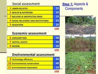 Assessing Sustainability of Swiddens systems in Tropical Forest Margins