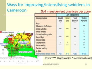 Assessing Sustainability of Swiddens systems in Tropical Forest Margins