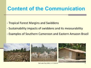 Assessing Sustainability of Swiddens systems in Tropical Forest Margins