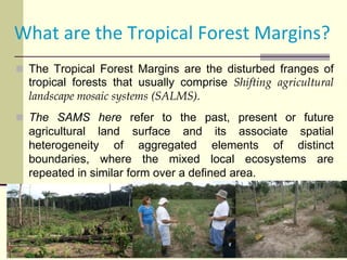 Assessing Sustainability of Swiddens systems in Tropical Forest Margins