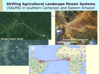 Assessing Sustainability of Swiddens systems in Tropical Forest Margins