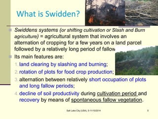 Assessing Sustainability of Swiddens systems in Tropical Forest Margins