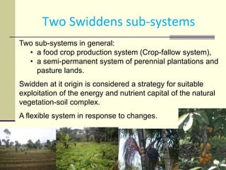 Assessing Sustainability of Swiddens systems in Tropical Forest Margins