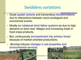 Assessing Sustainability of Swiddens systems in Tropical Forest Margins