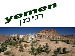 yemen תימן 