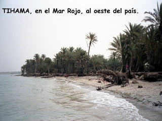 TIHAMA, en el Mar Rojo, al oeste del país.
 