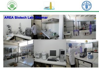 AREA BBiiootteecchh LLaabb,, DDhhaammaarr 
 