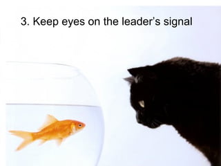 3. Keep eyes on the leaders signal
 