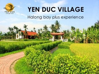 YEN DUC VILLAGE
Halong bay plus experience
 