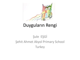Duyguların Rengi
Şule EŞGİ
Şehit Ahmet Akyol Primary School
Turkey
 