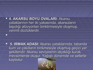  4. AKARSU BOYU OVALARI: Akarsu 

yataklarının her iki yakasında, akarsuların 
taşıdığı alüvyonları biriktirmesiyle oluşmuş, 
verimli düzlüklerdir.


 
  5. IRMAK ADASI: Akarsu yataklarında, tabanda 
kum ve çakılların birikmesiyle oluşmuş geçici yer 
şekilleridir. Akarsu seviyesinin alçaklığı kurak 
mevsimlerde oluşur. Yağışlı dönemde ve sellerle 
kaybolur.

 