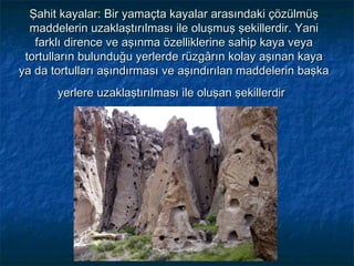 Şahit kayalar: Bir yamaçta kayalar arasındaki çözülmüş
maddelerin uzaklaştırılması ile oluşmuş şekillerdir. Yani
farklı dirence ve aşınma özelliklerine sahip kaya veya
tortulların bulunduğu yerlerde rüzgârın kolay aşınan kaya
ya da tortulları aşındırması ve aşındırılan maddelerin başka
yerlere uzaklaştırılması ile oluşan şekillerdir

 