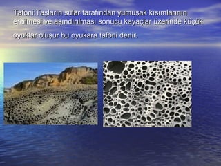 Tafoni:Taşların sular tarafından yumuşak kısımlarının
eritilmesi ve aşındırılması sonucu kayaçlar üzerinde küçük
oyuklar oluşur bu oyukara tafoni denir.

 