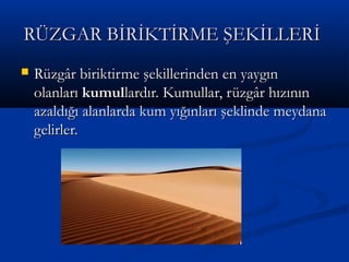 RÜZGAR BİRİKTİRME ŞEKİLLERİ


Rüzgâr biriktirme şekillerinden en yaygın
olanları kumullardır. Kumullar, rüzgâr hızının
azaldığı alanlarda kum yığınları şeklinde meydana
gelirler.

 