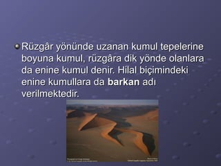 Rüzgâr yönünde uzanan kumul tepelerine
boyuna kumul, rüzgâra dik yönde olanlara
da enine kumul denir. Hilal biçimindeki
enine kumullara da barkan adı
verilmektedir.

 