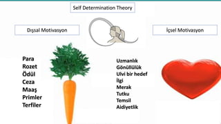 motıvaSYON
Dışsal Motivasyon İçsel Motivasyon
Para
Rozet
Ödül
Ceza
Maaş
Primler
Terfiler
Uzmanlık
Gönüllülük
Ulvi bir hedef
İlgi
Merak
Tutku
Temsil
Aidiyetlik
Self Determination Theory
*Ryan & Deci 2000
 