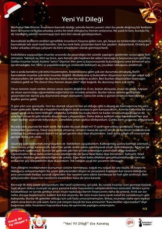Ece Karataş "Yeni Yıl Dileği" (Sayfa 1)