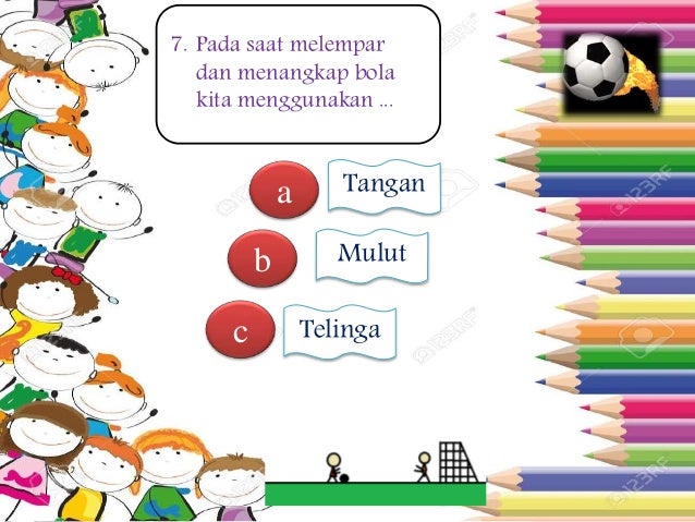 mengenal anggota tubuh