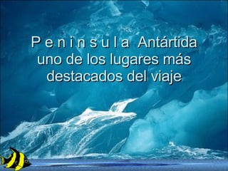 Lklk P e n i n s u l a  Antártida uno de los lugares más destacados del viaje 