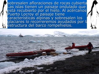 sobresalen afloraciones de rocas cubiertas. Las islas tienen un paisaje ondulado que está recubierto por el hielo. Al acércanos a Puerto Locroy el paisaje tiene características alpinas y sobresalen los glaciares lo recorreremos ayudados por la estructura del barco rompehielos. . 