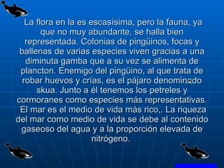 La flora en la es escasísima, pero la fauna, ya que no muy abundante, se halla bien representada. Colonias de pingüinos, focas y ballenas de varias especies viven gracias a una diminuta gamba que a su vez se alimenta de plancton. Enemigo del pingüino, al que trata de robar huevos y crías, es el pájaro denominado skua. Junto a él tenemos los petreles y cormoranes como especies más representativas.  El mar es el medio de vida más rico,. La riqueza del mar como medio de vida se debe al contenido gaseoso del agua y a la proporción elevada de nitrógeno.  