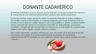 DONANTE CADAVÉRICO
El donante cadavérico, es un ser humano que ha fallecido, ya sea por accidentes de transito o
de forma natural y los cuales presentan muerte cerebral o paro cardio respiratorio.
La muerte cerebral, ocurre cuando el cerebro se encuentra destruido de forma completa e
irreversible, este no recibe oxigeno, ni irrigación sanguínea, por lo que el paciente debe ser
tratado en una Unidad de Cuidado Intensivo (UCI) sea pediátrico o adulto, en donde brindan
manejo avanzado para preservar sus órganos. Esto debe ser diagnosticado, con pruebas
completas y dictaminado por un neurólogo y/o intensivista, en está condición se puede donar
órganos como riñón, hígado, corazón, páncreas, pulmón.
Paro cardio respiratorio, esto hace referencia al cese irreversible de la actividad de bomba
del corazón, aun a pesar de la correcta aplicación de las medidas de resucitación
cardiopulmonar (RCP) avanzada, en está condición se puede donar cornea, medula ósea, piel
y huesos.
 