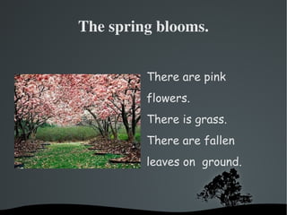 The spring blooms. ,[object Object]