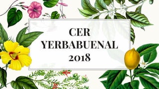 CER
YERBABUENAL
2018
 