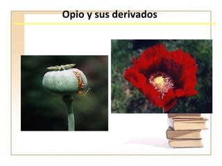 Opio y sus derivados  