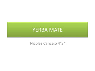 YERBA MATE
Nicolas Cancelo 4°3°
 
