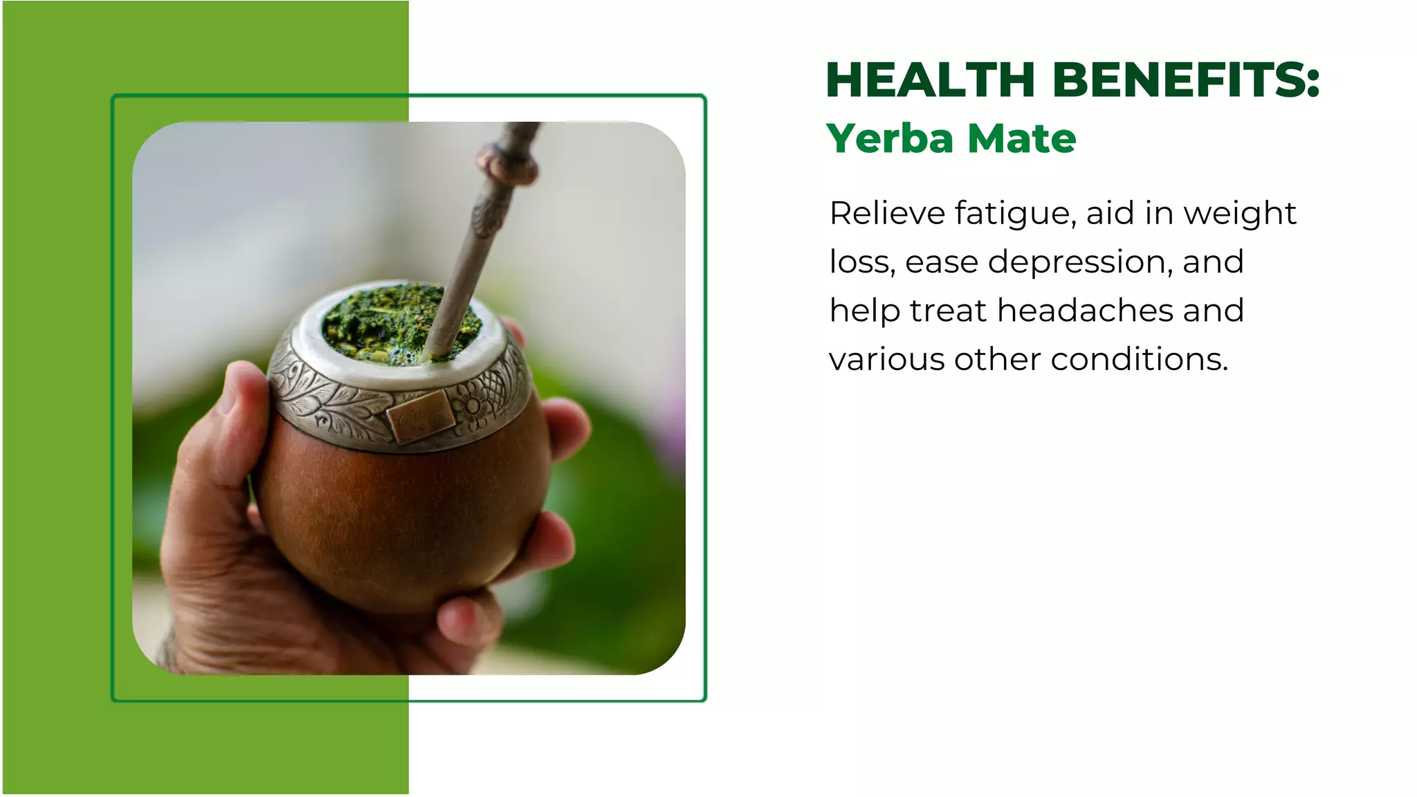 yerba mate | PDF