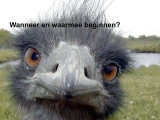 Wanneer en waarmee beginnen? 