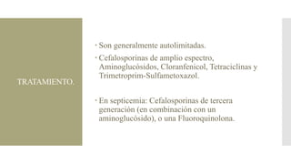  Son generalmente autolimitadas.

TRATAMIENTO.

 Cefalosporinas de amplio espectro,
Aminoglucósidos, Cloranfenicol, Tetraciclinas y
Trimetroprim-Sulfametoxazol.
 En septicemia: Cefalosporinas de tercera
generación (en combinación con un
aminoglucósido), o una Fluoroquinolona.

 