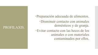 PROFILAXIS.

Preparación adecuada de alimentos.
Disminuir contacto con animales
domésticos y de granja.
Evitar contacto con las heces de los
animales o con materiales
contaminados por ellos.

 
