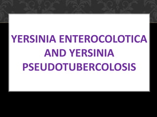 YERSINIA ENTEROCOLOTICA
AND YERSINIA
PSEUDOTUBERCOLOSIS
 