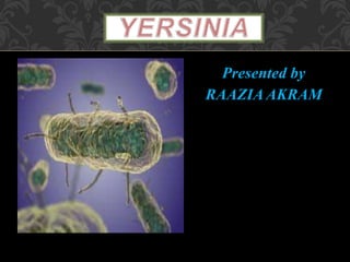 Presented by
RAAZIA AKRAM
 