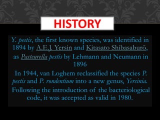 Y. pestis, the first known species, was identified in
1894 by A.E.J. Yersin and Kitasato Shibasaburō,
as Pasteurella pestis by Lehmann and Neumann in
1896
In 1944, van Loghem reclassified the species P.
pestis and P. rondentium into a new genus, Yersinia.
Following the introduction of the bacteriological
code, it was accepted as valid in 1980.
HISTORY
 