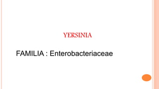 YERSINIA
FAMILIA : Enterobacteriaceae
 
