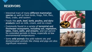 Click to edit Master title style
11
RESERVOIRS
11
• Intestinal tract of many different mammalian
species as well as from birds, frogs, fish, flies,
fleas, crabs, and oysters
• Foods like pork, beef, lamb, poultry, and dairy
products such as milk, cream, and ice cream
• Commonly found in a variety of terrestrial and
freshwater ecosystems, including soil, vegetation,
lakes, rivers, wells, and streams, and can persist
for extended periods in these, especially at low
environmental temperatures
• Some wild animals like wild rodents etc and
domesticated animals like sheep and pigs are also
significant reservoirs
 