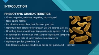 Click to edit Master title style
4
INTRODUCTION
4
PHENOTYPIC CHARACTERSTICS
• Gram negative, oxidase negative, rod-shaped
• Non-spore former
• Facultative anaerobes that ferment glucose
• Optimum temperature for growth 28-30 degree Celsius
• Doubling time at optimum temperature is approx. 34 mins
• Psychrophilic, hence can withstand refrigeration temperatures
• Less Survival rate at intermediate temperatures
• Optimum pH for growth is 7.6
• Can tolerate alkaline conditions but is not good acid - tolerant
 